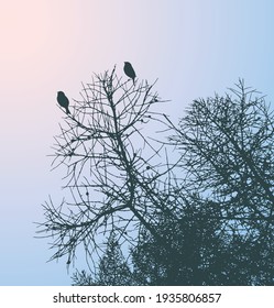 Vector image of silhouettes birds sitting on tree branches on winter day