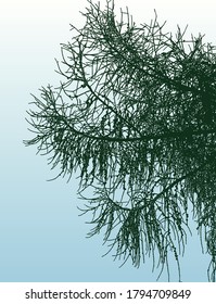 Imagen vectorial de siluetas ramas de árbol conífero