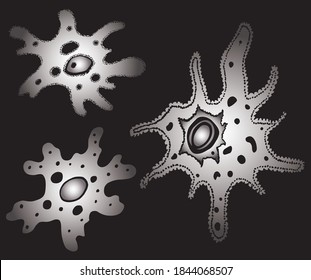 129 Amoeba ectoplasm Images, Stock Photos & Vectors | Shutterstock