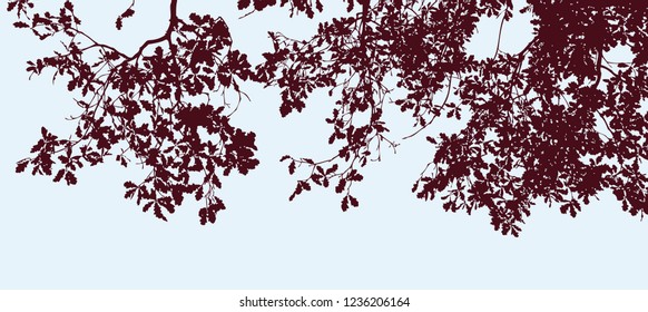 Vector image of silhouettes of oak branches in autumn