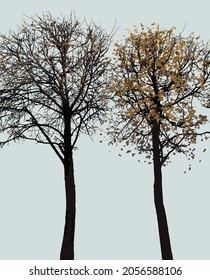 Imagen vectorial de las siluetas de dos árboles caducifolios con hojas caídas en la temporada de otoño