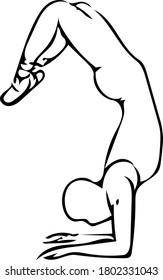 Vector image of silhouettes in yoga pose