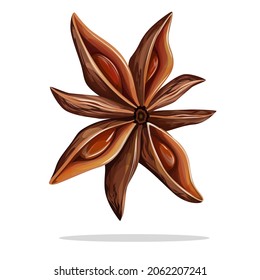Imagen vectorial de una sola planta de anís. Estilo de caricatura. EPS 10