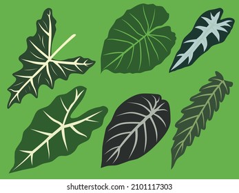 vector image of six ornamental leaves.