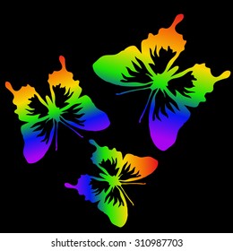 Vector image of six-stripe rainbow Butterflies