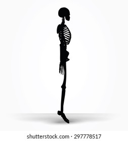 Vector Image - skeleton silhouette in default pose isolated on white background 
