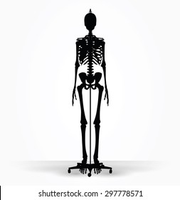 Vector Image - skeleton silhouette in default pose isolated on white background 