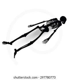 Vector Image - skeleton silhouette in prone pose isolated on white background 