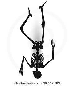 Vector Image - skeleton silhouette in prone pose isolated on white background 