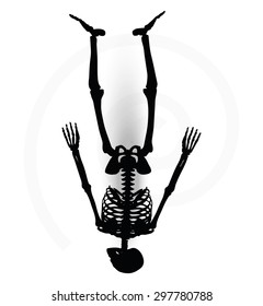 Vector Image - skeleton silhouette in prone pose isolated on white background 