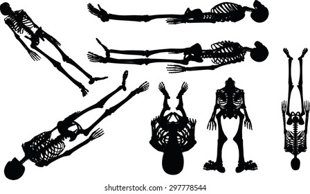 Vector Image - skeleton silhouette in supine pose isolated on white background 