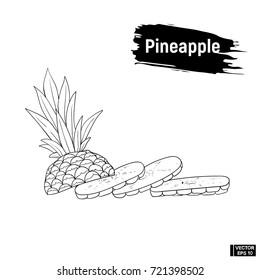 Vector image. Sketch of exotic fruit. Doodle drawing pineapple. Fruit of pineapple, slices.