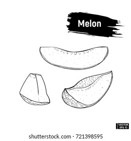 Vector Image. Sketch Melon, Hand Drawing. Isolated Object Outline Drawing Of Melon Sliced