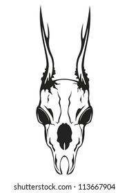 Vector image skull roe on white background