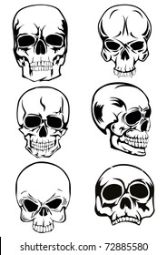 The vector image of skull of various kinds