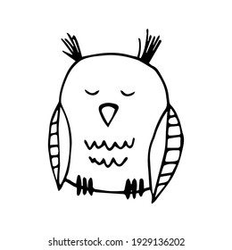 vector image of sleeping owl on white background