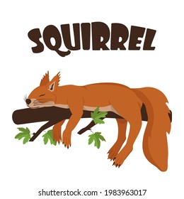 Vector image of a sleeping squirrel on a branch. Color illustration of a squirrel with text.