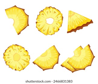 
Vector image of sliced pineapple slices solated white background. Citrus slices fruit. Icon set Ripe and delicious product