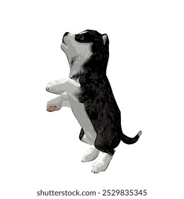 The vector image of a small Husky puppy shows an adorable figure with thick black and white fur. Its face is cute, with bright, curious eyes, upright ears, and a small, agile body that looks both play