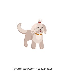 Vector Image Of A Small Lap Dog With A Collar Isolated On A White Background. Cute Pets