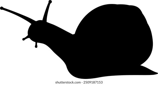 Vector Imagen de un caracol