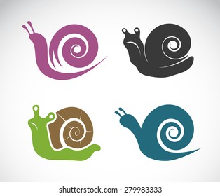 Vector image of a snail on white background