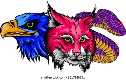 vector image of snake lynx egle for tattoo design