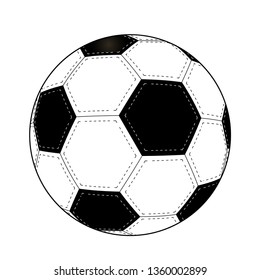 vector image of a soccer ball