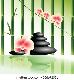 Vector image for spa salon with orchid and stones on green bamboo background