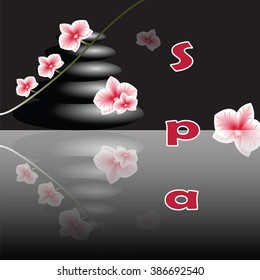Vector image for spa salon with orchids and stones on dark gray background with sign