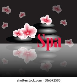 Vector image for spa salon with orchids and stones on dark gray background with sign