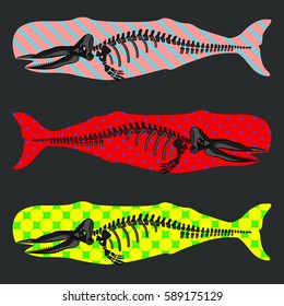Vector image of a sperm whale. Skeleton. Ornament