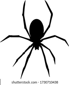 Vector image of a spider