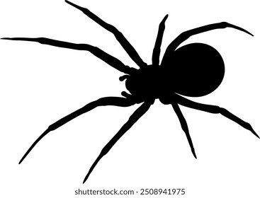 Vector image of a spider