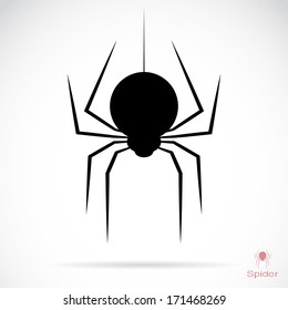Vector image of an spider on white background