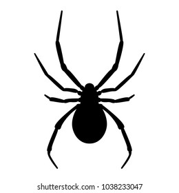 Black Spider Stock Vector (royalty Free) 128639318 