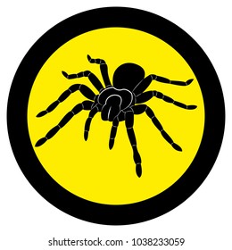 Vector image of spider silhouette