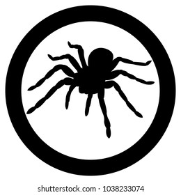 Vector image of spider silhouette