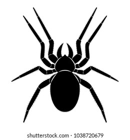 Vector image of spider silhouette