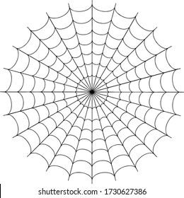 Vector image of a spider web