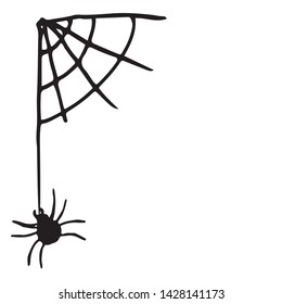 vector image of spider web with spider isolated on white background