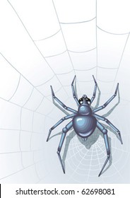 Vector image of the spider with web on background.