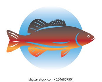 Vector Image Of A Spotted Bass Fish