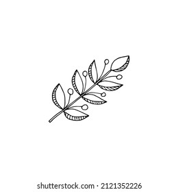 Vector image of a sprig with pointed leaves and small round berries on a transparent background. Clip art hand drawn.