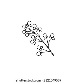 Vector image of a sprig with small berries and paired leaves on a transparent background. Clip art hand drawn.