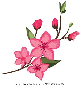 Vector image of spring blooming  peach branch. Pink flowers with leaves.