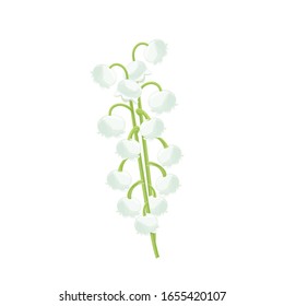 
Vector image of a spring flower on a white background.