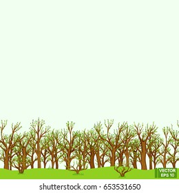 Vector image. Spring forest, flat landscape. Blossoming leaves in the trees