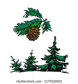 vector image spruce and pine