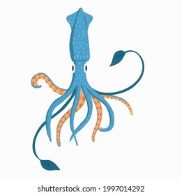 Vector image of squid, isolated on white background